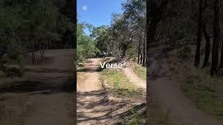 MTB POV #mtb #mtbjumps #mountainbikejumps #ausmtb #australianisland #mtblife #mtbjump #funjumps