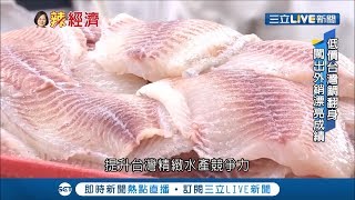 突破困境!魚肉營養更升級 \