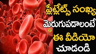 ఈ పండు తినడం వల్ల రక్తంలో ప్లేట్ లెట్స్ సంఖ్య త్వరగా పెరుగుతుంది | Health Masters