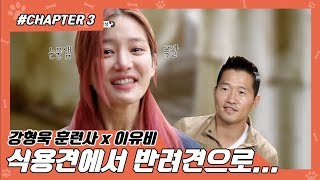 #CHAPTER3 | 강형욱x이유비 식용견에서 반려견으로..!! [개는 훌륭하다] #강형욱 #개통령 #강훈련사 #이유비 ㅣ KBS방송