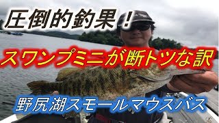 圧倒的釣果！　スワンプミニ　ネコリグが断トツなワケ　野尻湖スモールマウスバス