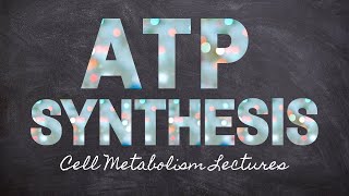 ATP Synthesis | Cell Metabolism Part 4 | Macronutrients Lecture 20