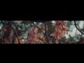 Echo-Eclipse - Haunted [Visual]
