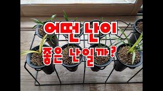 엽예명품의 필수 요건