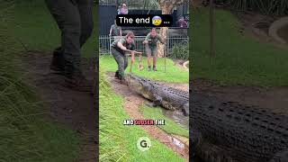 This Crocodile’s Jump Will Shock You! 😱🐊