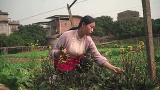 生活平淡，用心就会发光，岁月沉闷，跑起来就会有风。