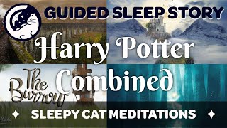The Harry Potter Collection (So Far) - Guided Sleep Stories Combined (with Music and SFX)