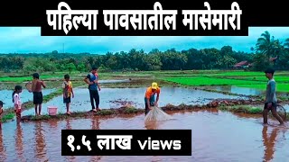 चढणीचे मासे पकडण्याची मजा😍 |kokan_vlog |gavkhadi_village|