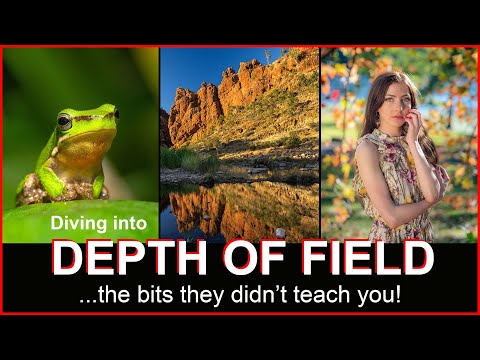 Which is the best field in photography?