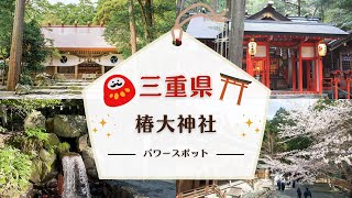 椿大神社・猿田彦大神様からの感謝と御神言✨夢を叶えるための特別な導き