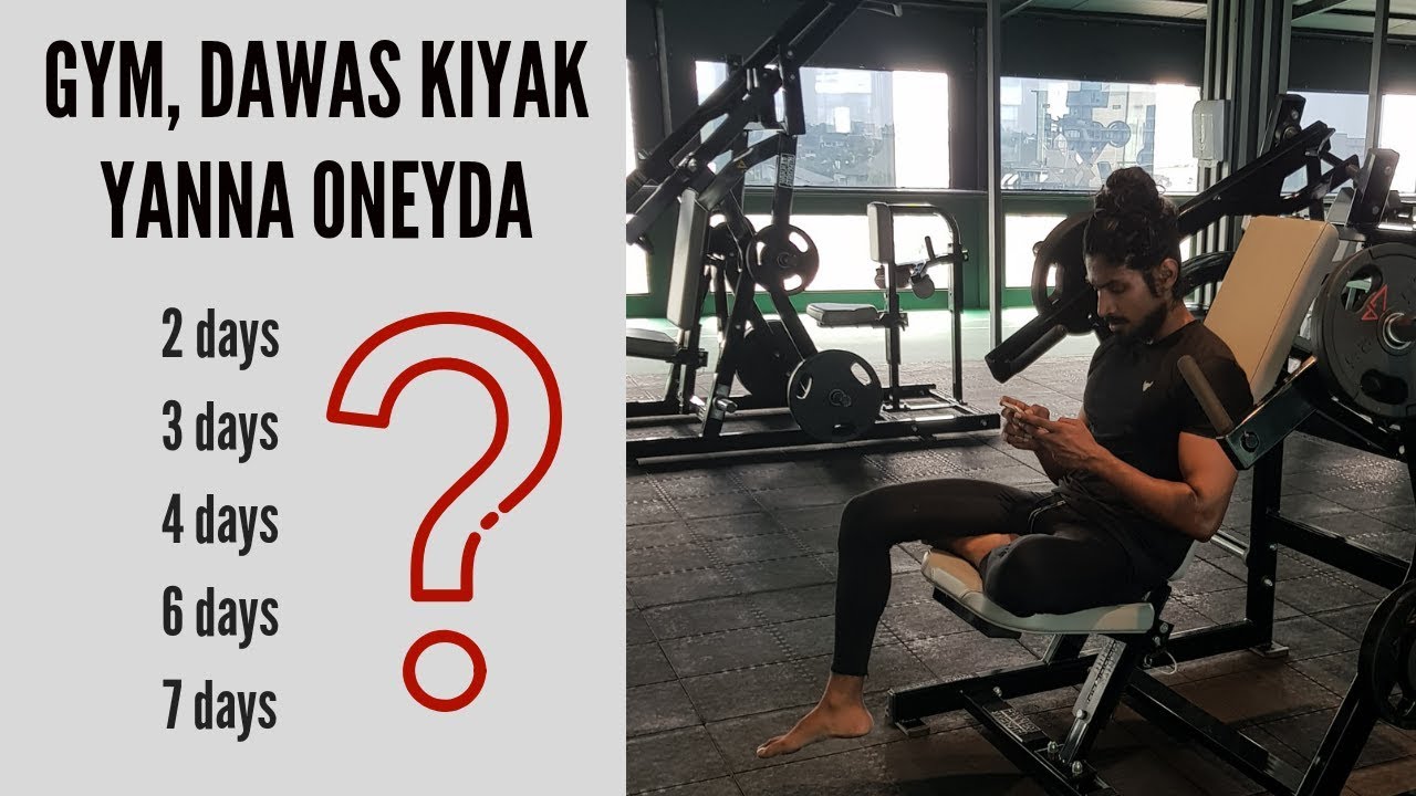 2 Days A Week Workout Routine