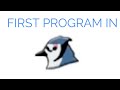 First program in Bluej - for beginners