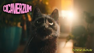 Cicaverzum - teaser előzetes