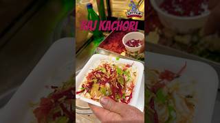 Mumbai famous Raj Kachori in Jammu and Kashmir #shorts #telugufood #viralshorts #rajkachori #telugu