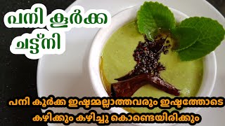 പനി കൂർക്ക ചട്ണി/mexican mint chutney/നവര ഇല ചട്ണി/origano chutney|how to make mexican mint recipe