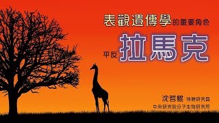 表觀遺傳學的重要角色：平反拉馬克？｜沈哲鯤｜探索講座〖翻轉吧，DNA ∞ 雙螺旋65歲生日趴〗