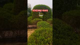 নামাজের গুরুত্ব|| কিভাবে নামাজ আদায় করবেন|| #shorts #ytshorts #video #status #youtubeshorts #namaz