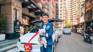 【跳跳移動】❤️徐王府❤️ 有情成眷 跳跳移動 特斯拉 結婚禮車