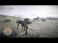 The quickest and cleanest animal kill you'll ever see in RDR2