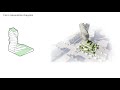 animated architectural form generation