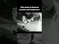 1 Hour Of Sedative Mafia Lo-fi Chill Music For Studying Or Working Playlist #lofisong #bettyboop