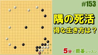 【隅の死活～得な生き方は？】５分で囲碁レッスン #153