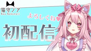 【初配信】はじめまして、猫守ノアです💘【新人Vtuber】