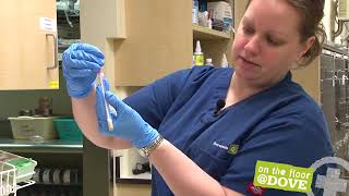 Giardia SNAP Test