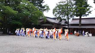 須賀IZANAI連 土佐神社 奉納演舞2018