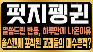 [펏지펭귄 코인전망] 결국 말씀드린 구간에서 반등이 나왔던 이유, 결국 솔스캔에 있다!? 이번 상승은 고점을 다시 한번 갱신할 수밖에 없는 이유, 대신 '이것'조심 #PENGU