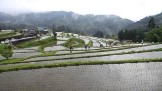 高島市畑の棚田