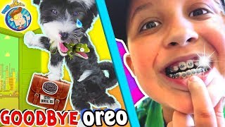 SAYING GOODBYE TO PUPPY & Hello to Mikes New BRACES! FUNnel Vision Vlog