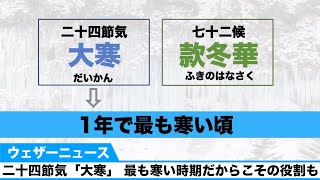 二十四節気「大寒」 七十二候「款冬華」最も寒い時期だからこその役割も