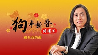 楊天命2018狗年十二生肖運程《兔》