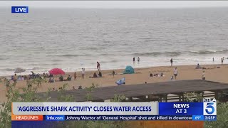 Ocean closed to beachgoers after ‘aggressive’ shark sightings in San Clemente