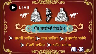 ਅੰਮਿ੍ਤ ਵੇਲਾ ਪਾਠ // ਨਿੱਤਨੇਮ ਪੰਜ ਬਾਣੀਆਂ // Nitnem path // Panj Bania Nitnem  30-7-2024 Vol-36