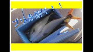 釣太郎キッチン　ブリ編