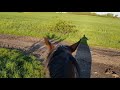 asmr virtual horse ride nature spring zeunes