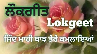 Jind Mahi || ਜਿੰਦ ਮਾਹੀ@sgnpunjabitalk5408 #lokgeet #sgnpunjabitalk