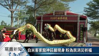 (火旁)龍新增「牽龍」部曲 貓裏喵公園設龍神祭壇【客家新聞20200201】