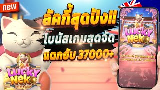 สล็อตแตกดี สล็อตน่าเล่น สูตรสล็อต 2024 🎮 Lucky Neko : เกมลัคกี้เนโกะสุดปัง