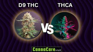 🌿 THCA vs. DELTA 9 THC. What is really the difference?! #CannaCare #subscribe #420 #thca