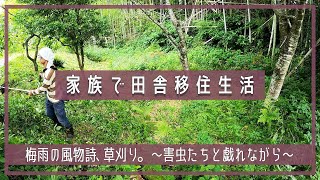 【家族で田舎移住生活】梅雨の風物詩、草刈り。| スズメバチ | ムカデ | 草刈り | 梅雨 | 庭整備 | 裏山整備 | 田舎暮らしDIY | 空き家セルフリノベーション | 宮崎 | えびの