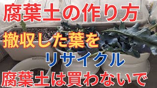 2/26【腐葉土】作り方　撤収した葉はリサイクルして腐葉土は買いません