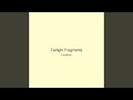 Twilight Fragments