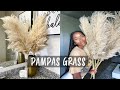 I FOUND FREE PAMPAS | PAMPAS GRASS CARE + DECOR TIPS