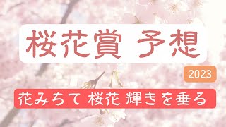 桜花賞2023【予想】王者リバティアイランドを倒すのはどの馬だ！ライトクオンタムに不吉なデータが!?