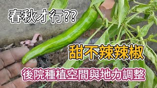 [後院種植] 01_1  年後種植空間除草與地力調整 草木灰生物炭使用良好時機