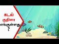 Find the SEA HORSE?  |Tamil riddles and puzzles | IQ test | #shorts #thinkapartriddles