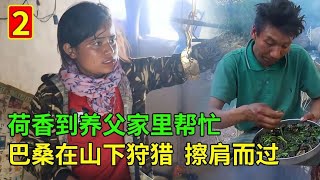 荷香到养父家帮忙，巴桑在山下狩猎，两个人擦肩而过是缘是孽？【荒野索探】